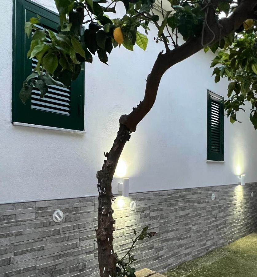 B&B Casa Vacanze Nonna Clara Νάπολη Εξωτερικό φωτογραφία